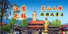 男人肏女人逼的视频免费的江苏无锡灵山大佛旅游风景区